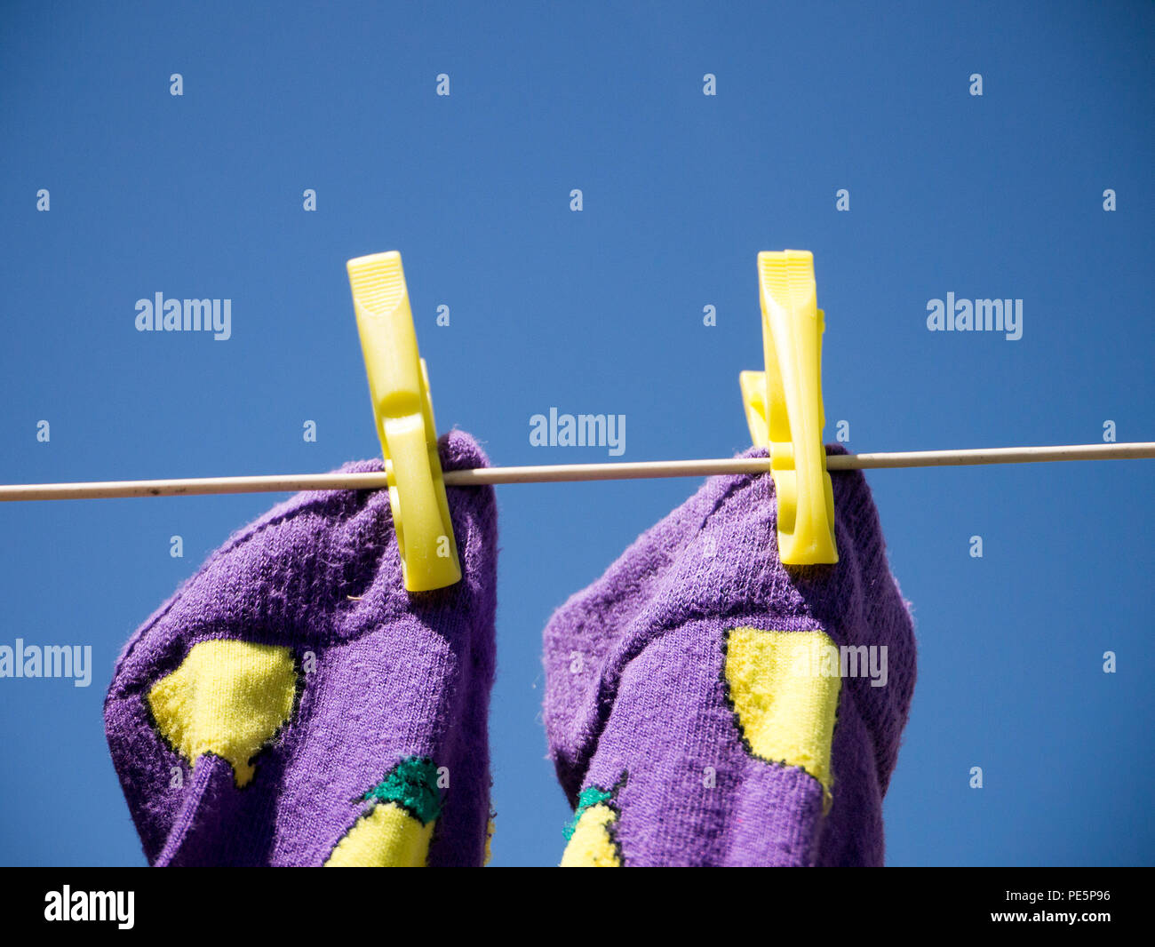 Close up de deux chaussettes violet avec du citron jaune détail, rattaché à un lave-ligne avec deux jaunes des pinces, tourné à partir de ci-dessous contre un ciel bleu clair Banque D'Images