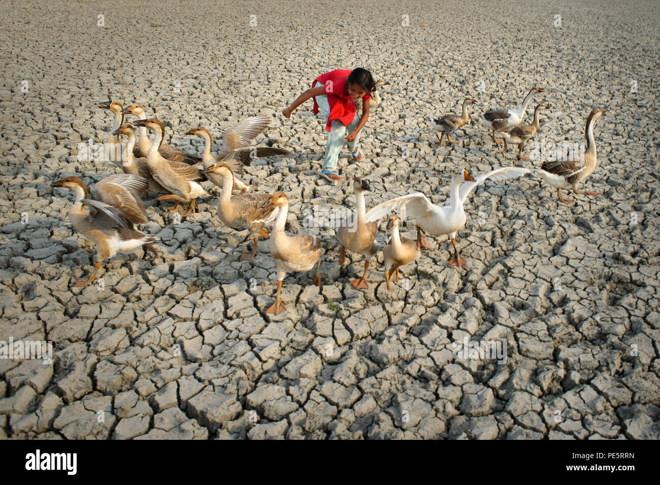 Mudcrack Banque D'Images