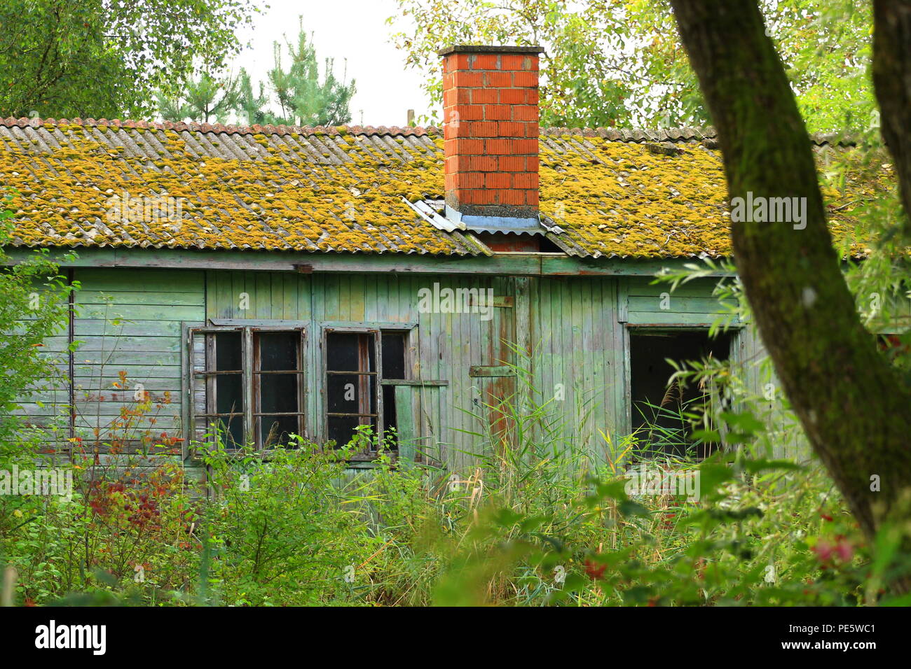 Vieille maison abandonnée dans la forêt Banque D'Images