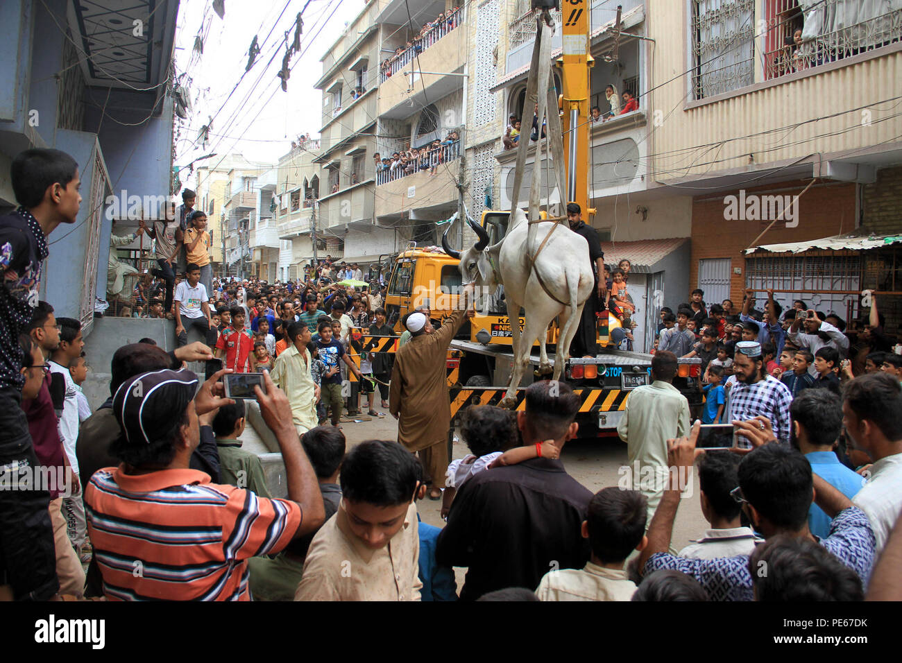 Karachi. Août 12, 2018. La population locale regarder comme un fournisseur utilise une grue pour amener un taureau en bas du haut du toit de sa maison de trois étages pour l'Aïd al-Adha festival à Karachi, dans le sud du Pakistan, le 12 août, 2018. Au Pakistan, les musulmans célèbrent la fête annuelle de l'Aïd al-Adha, ou la fête de sacrifice, le 22 août. Source : Xinhua/Alamy Live News Banque D'Images