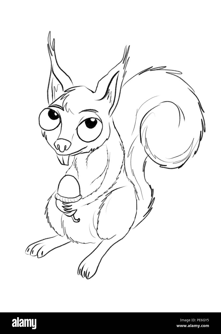 Illustration d'un écureuil Banque D'Images