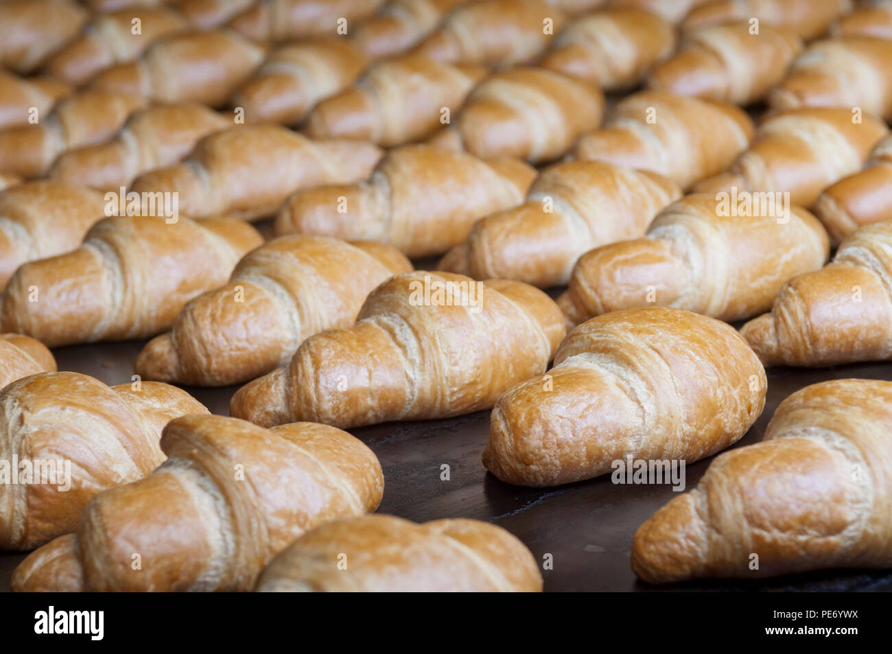 Groupe de croissants sur la ligne de production Banque D'Images