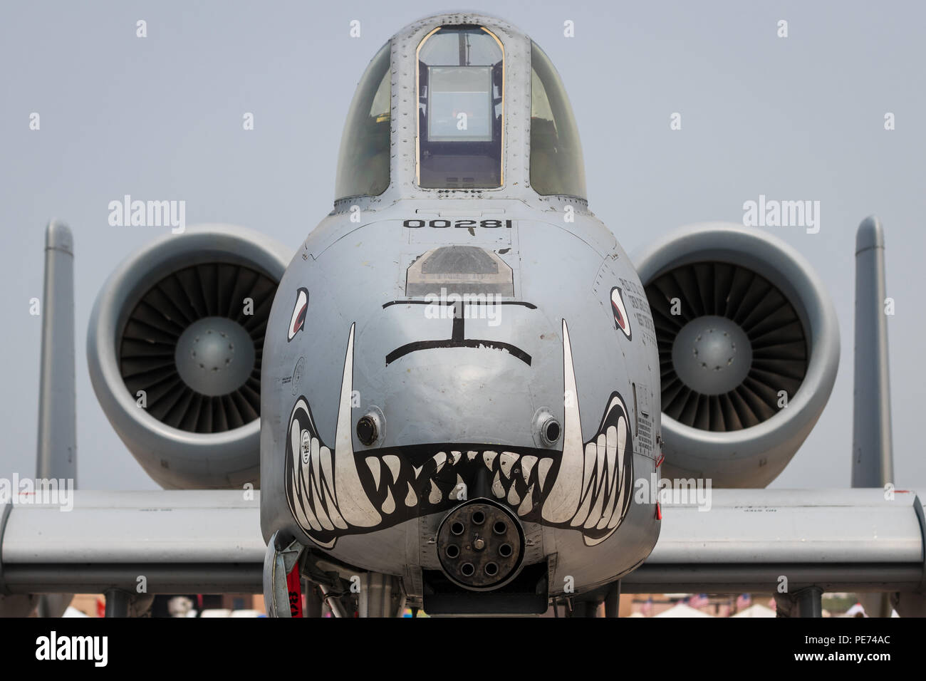 US AIR FORCE A-10 Warthog GATLING MOTEUR COCKPIT Banque D'Images