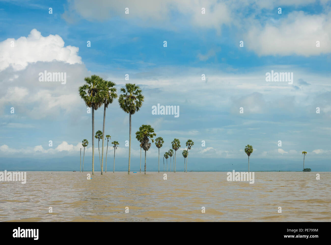 Paysages panoramiques du lac Tempe inondées dans le sud de Sulawesi, Indonésie Banque D'Images