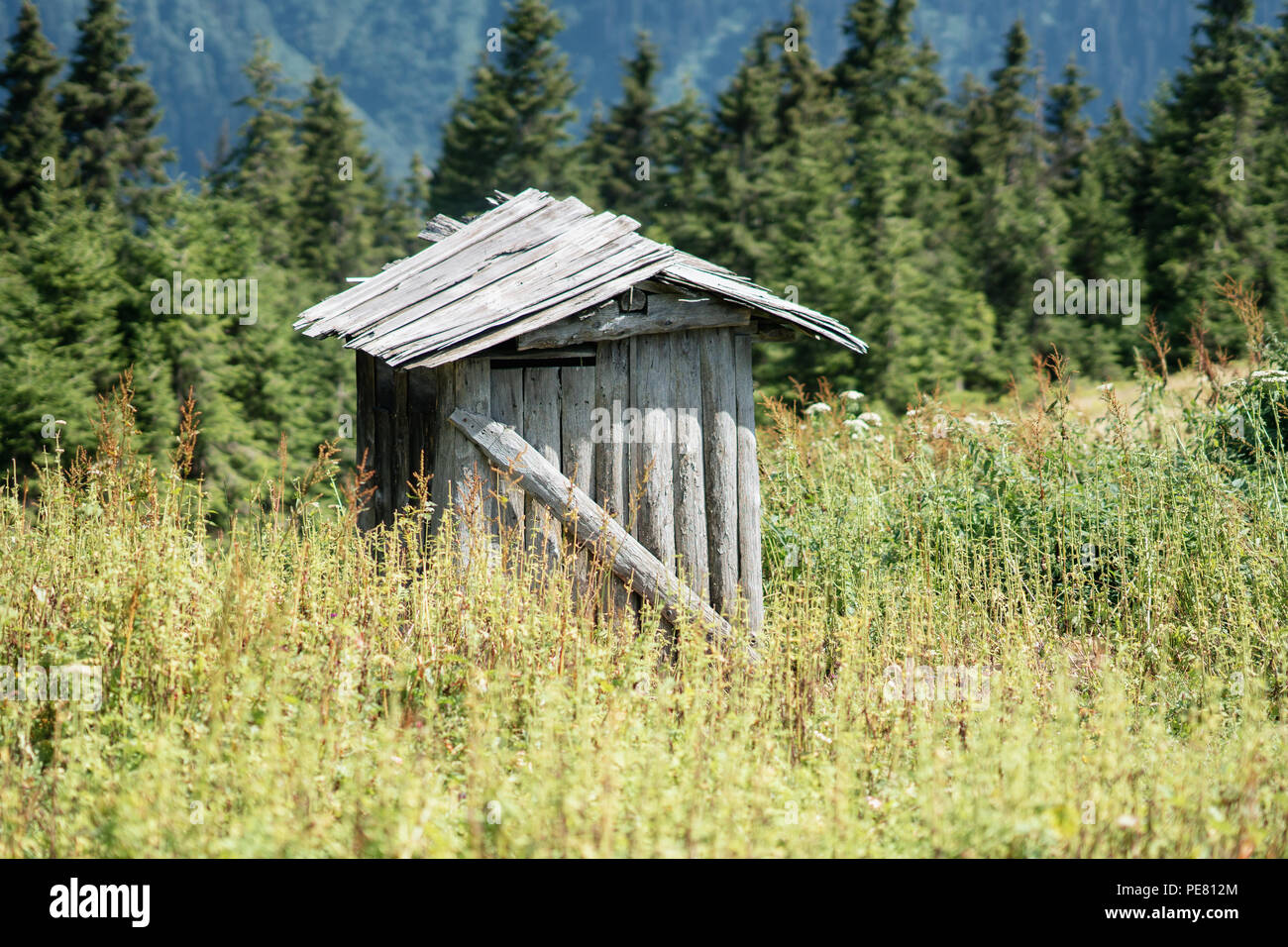 Une cabane en bois sur une pelouse verte, au milieu des arbres sur le territoire d'un domaine. Banque D'Images