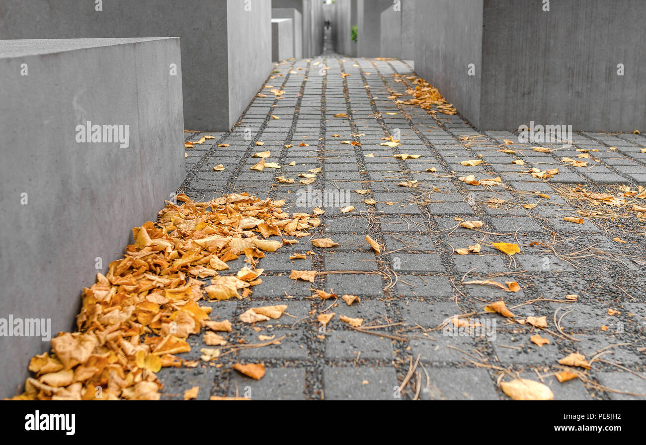 Monument aux victimes de l'Holocauste à Berlin, en Allemagne. Close-up. Banque D'Images