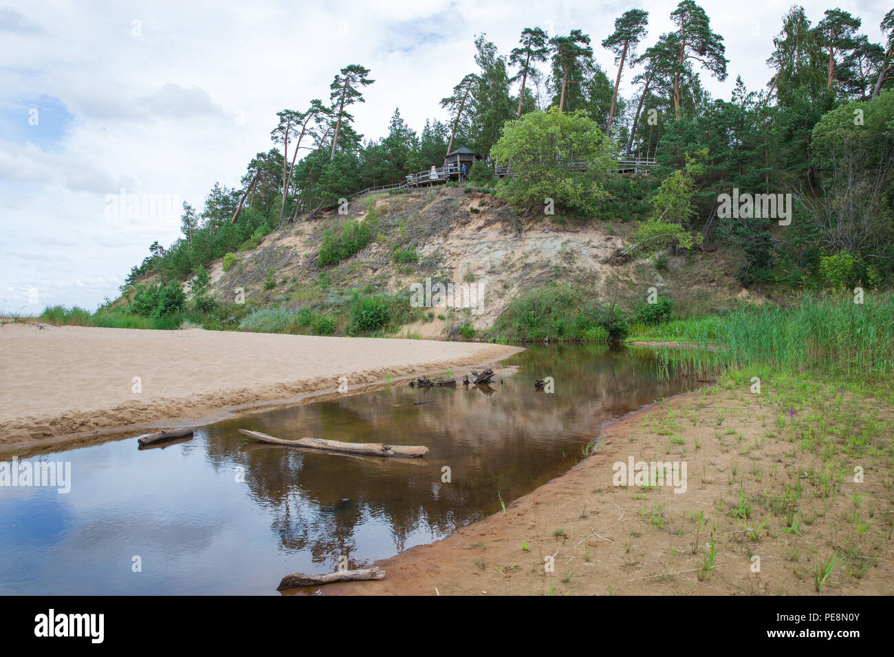 Ville Saulkrasti, la Lettonie. Rochers et rivière, la mer. L'herbe verte, les arbres et le soleil. La nature à la mer Baltique. Photos de voyage. Belle nature lettone. 2018 Banque D'Images