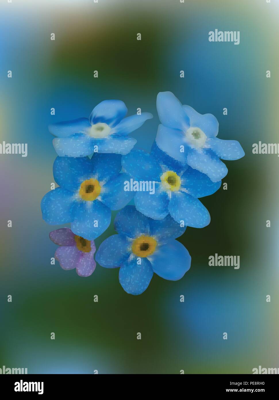 Blue ne m'oubliez pas les fleurs de printemps Illustration de Vecteur