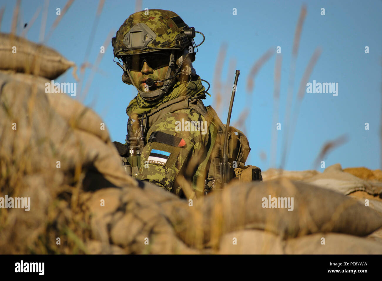 Un contrôleur de la finale de l'attaque conjointe donne sur un bunker pendant une mission de formation à l'appui de l'air gamme de formation tapa le 28 octobre 2015, près de Tapa, l'Estonie. Au cours de la formation, 74e Escadron de chasse expéditionnaire A-10 Thunderbolt II Aéronefs d'attaque a appuyé l'JTACs avec un appui aérien rapproché contre des cibles hostiles simulée. (Photo par Andrea Jenkins/libérés) Banque D'Images