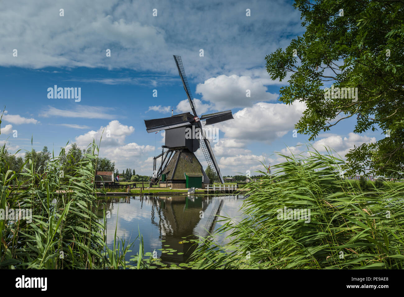 Moulins à vent hollandais traditionnel dans la région de Kinderdijk, Hollande. Banque D'Images