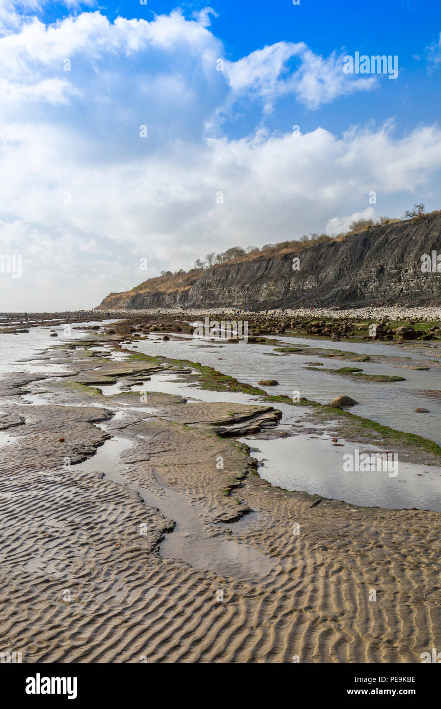 Une marée exceptionnellement basse expose la mer invisible normalement bed at Monmouth Beach sur la côte jurassique, Lyme Regis, Dorset, England, UK Banque D'Images