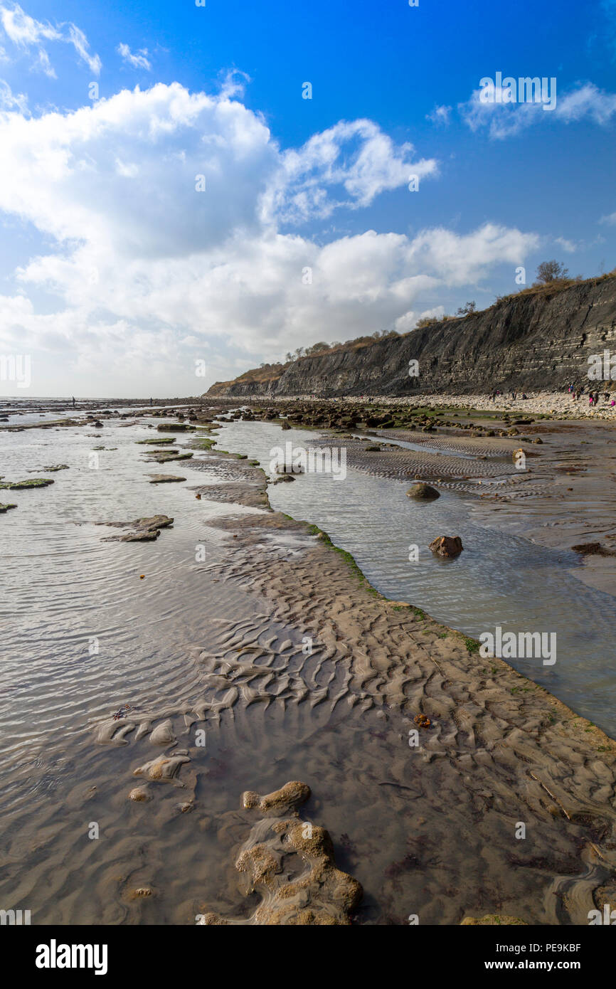 Une marée exceptionnellement basse expose la mer invisible normalement bed at Monmouth Beach sur la côte jurassique, Lyme Regis, Dorset, England, UK Banque D'Images