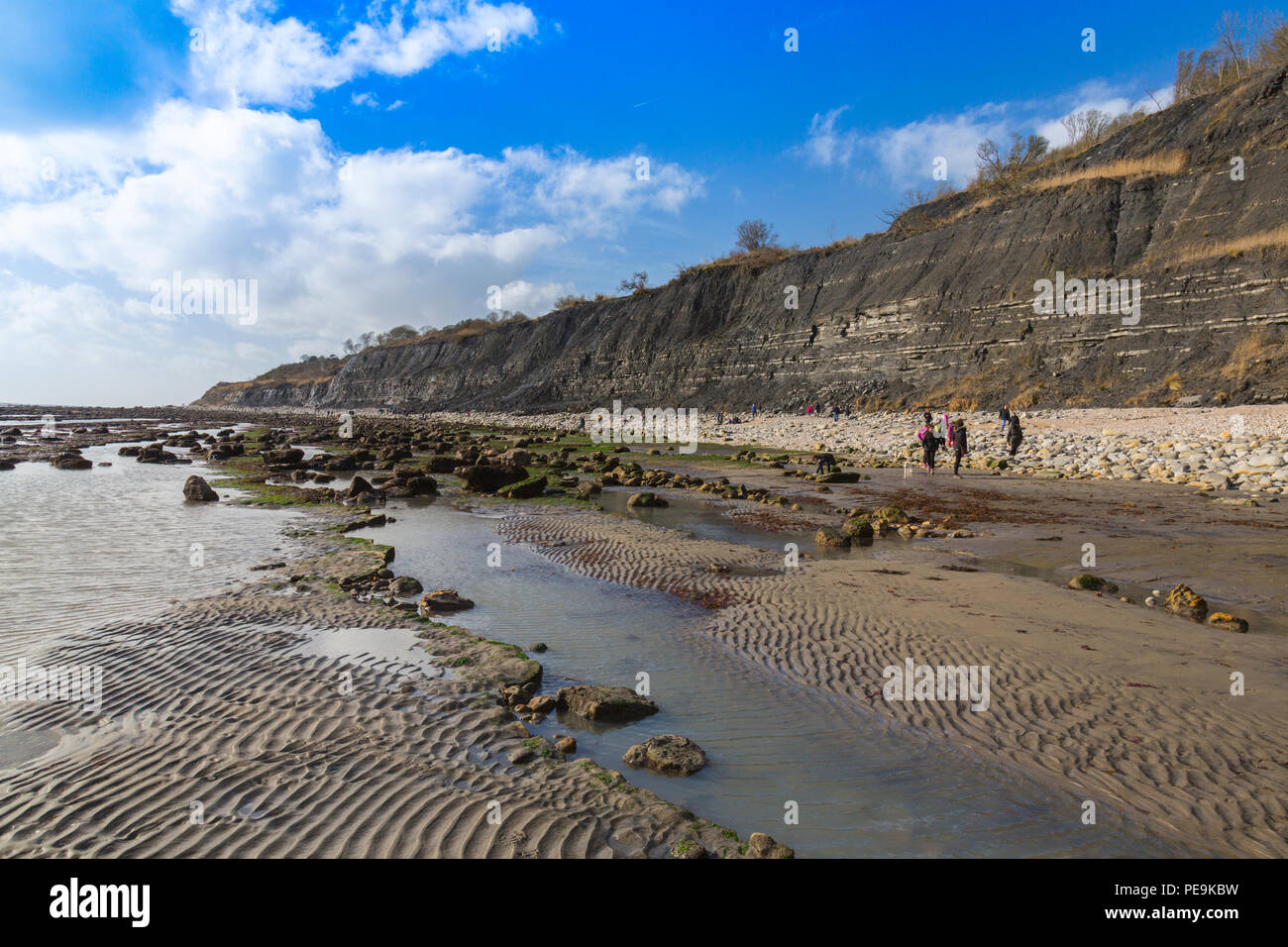 Une marée exceptionnellement basse expose la mer invisible normalement bed at Monmouth Beach sur la côte jurassique, Lyme Regis, Dorset, England, UK Banque D'Images