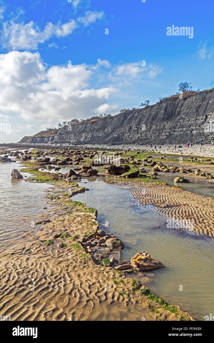Une marée exceptionnellement basse expose la mer invisible normalement bed at Monmouth Beach sur la côte jurassique, Lyme Regis, Dorset, England, UK Banque D'Images