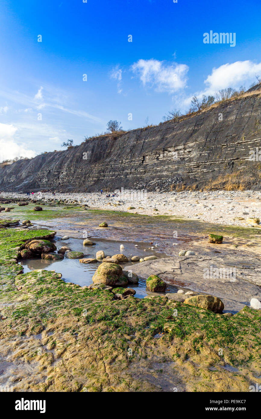 Une marée exceptionnellement basse expose la mer invisible normalement bed at Monmouth Beach sur la côte jurassique, Lyme Regis, Dorset, England, UK Banque D'Images