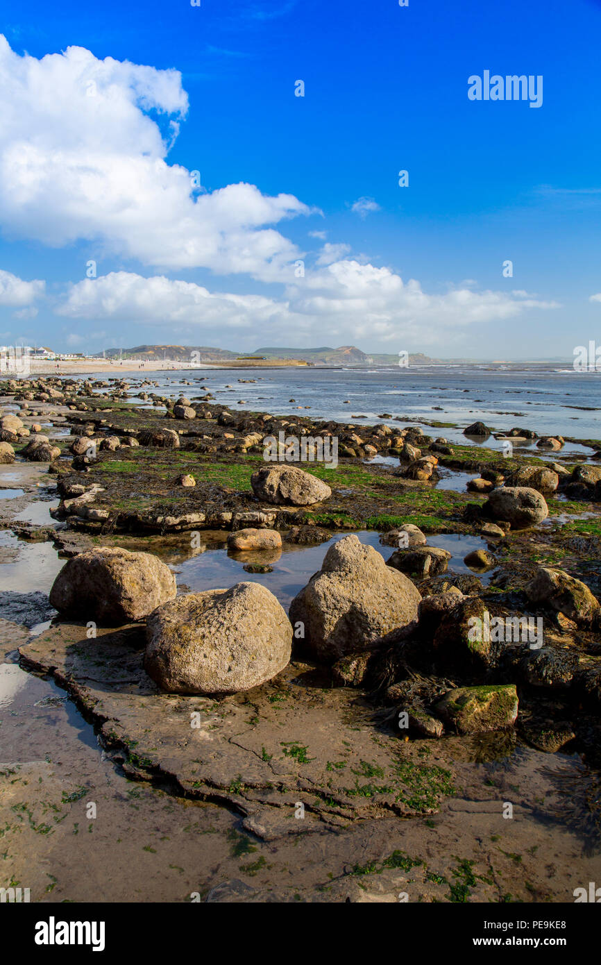 Une marée exceptionnellement basse expose la mer invisible normalement bed at Monmouth Beach sur la côte jurassique, Lyme Regis, Dorset, England, UK Banque D'Images