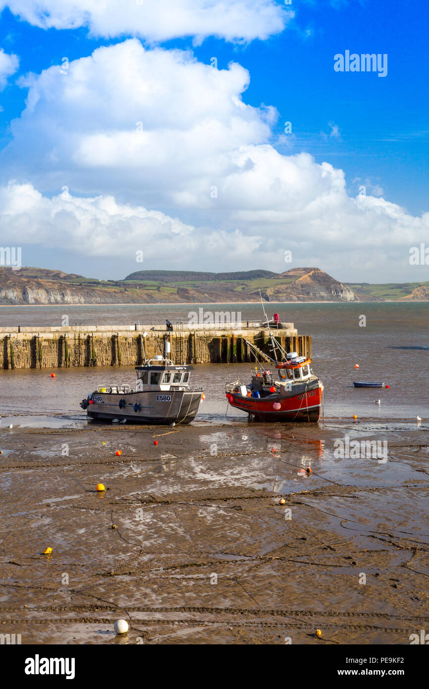 Une marée basse avec bateaux de pêche colorés dans le port à Lyme Regis sur la côte jurassique, Dorset, England, UK Banque D'Images