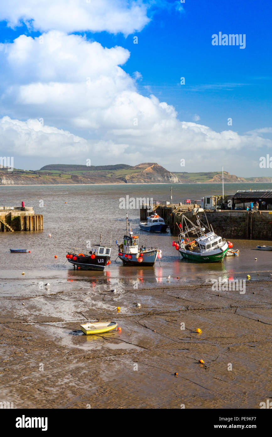 Une marée basse avec bateaux de pêche colorés dans le port à Lyme Regis sur la côte jurassique, Dorset, England, UK Banque D'Images