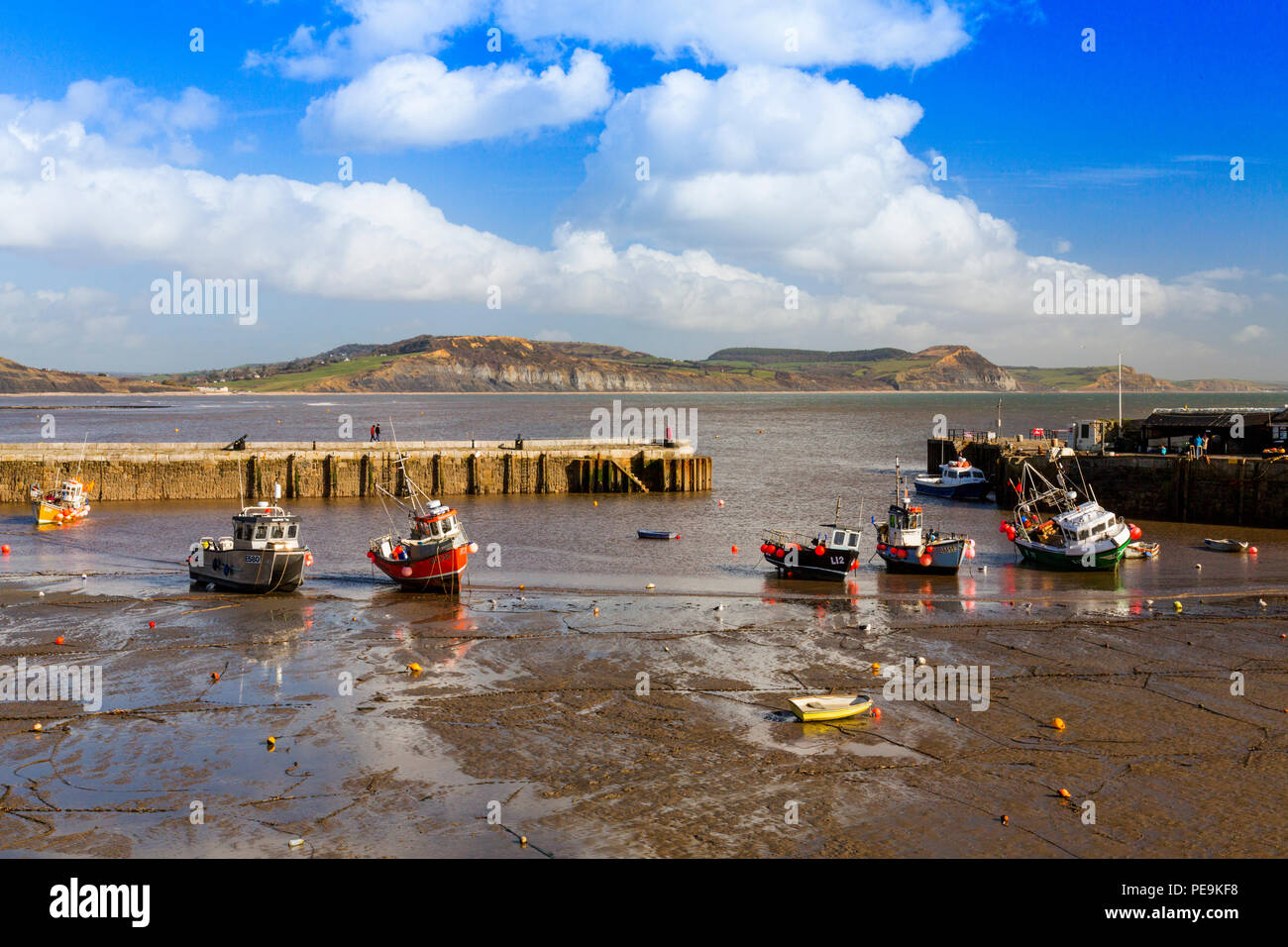 Une marée basse avec bateaux de pêche colorés dans le port à Lyme Regis sur la côte jurassique, Dorset, England, UK Banque D'Images