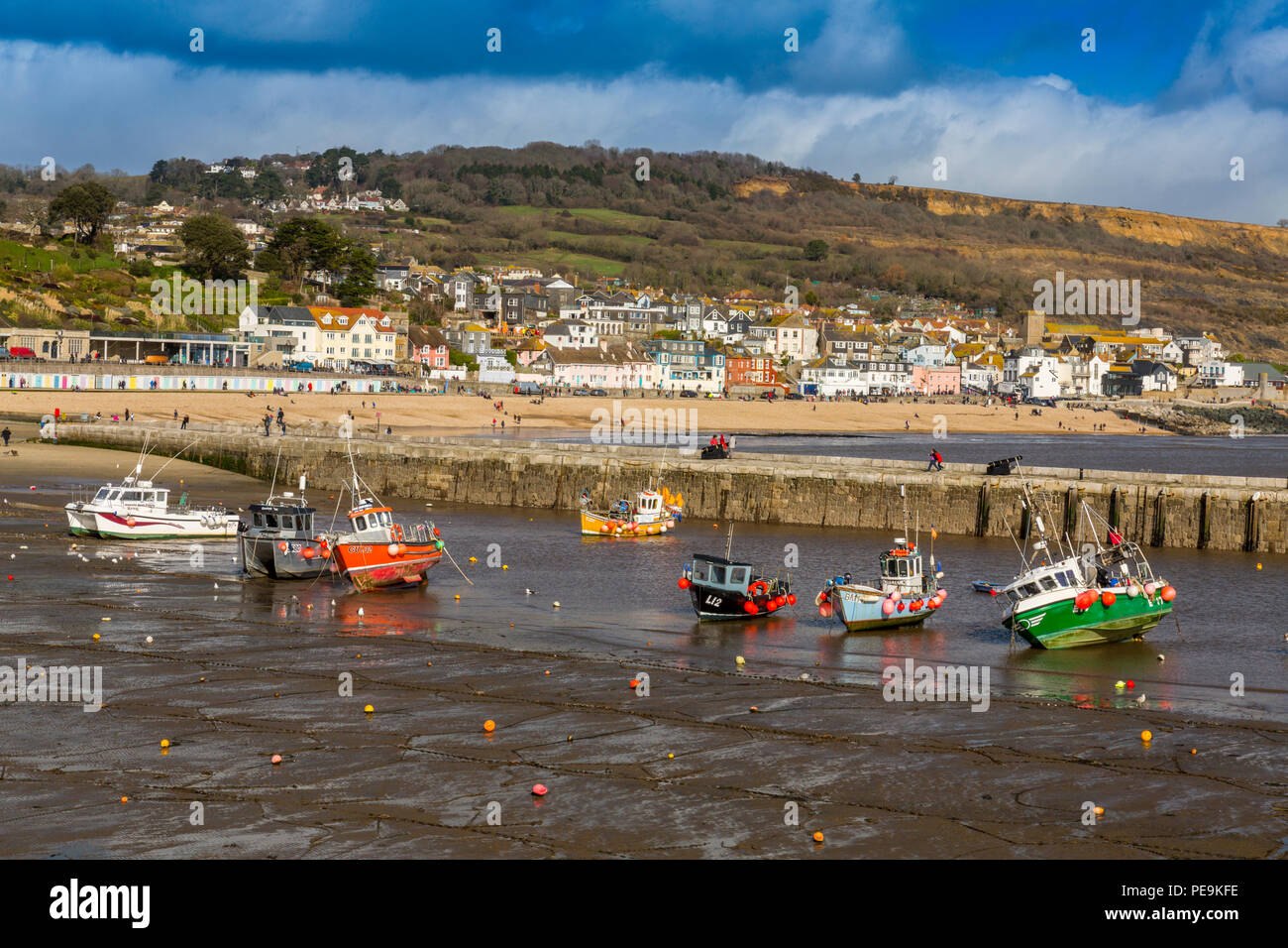 Une marée basse avec bateaux de pêche colorés dans le port à Lyme Regis sur la côte jurassique, Dorset, England, UK Banque D'Images