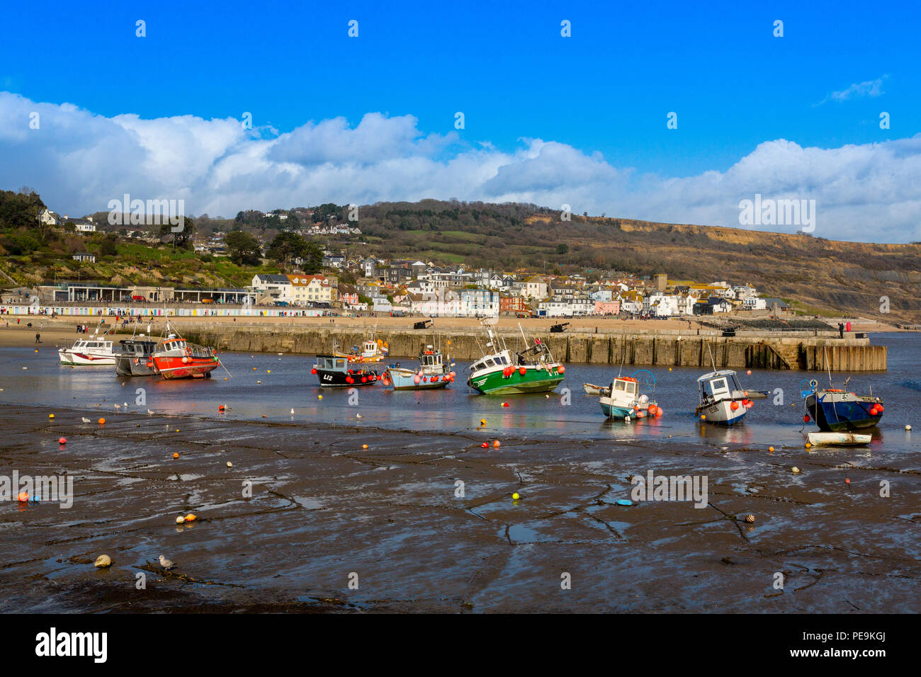 Une marée basse avec bateaux de pêche colorés dans le port à Lyme Regis sur la côte jurassique, Dorset, England, UK Banque D'Images