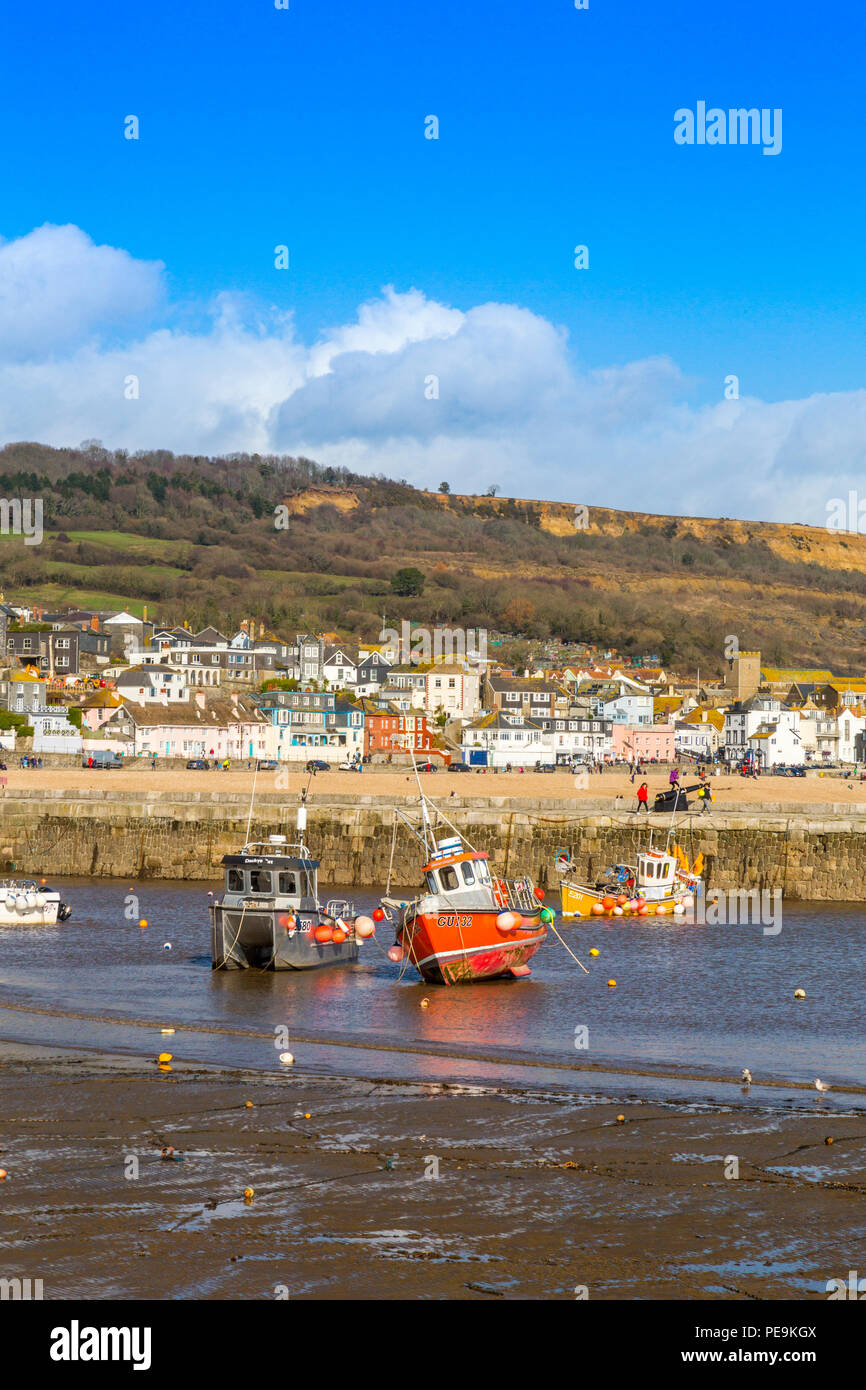 Une marée basse avec bateaux de pêche colorés dans le port à Lyme Regis sur la côte jurassique, Dorset, England, UK Banque D'Images