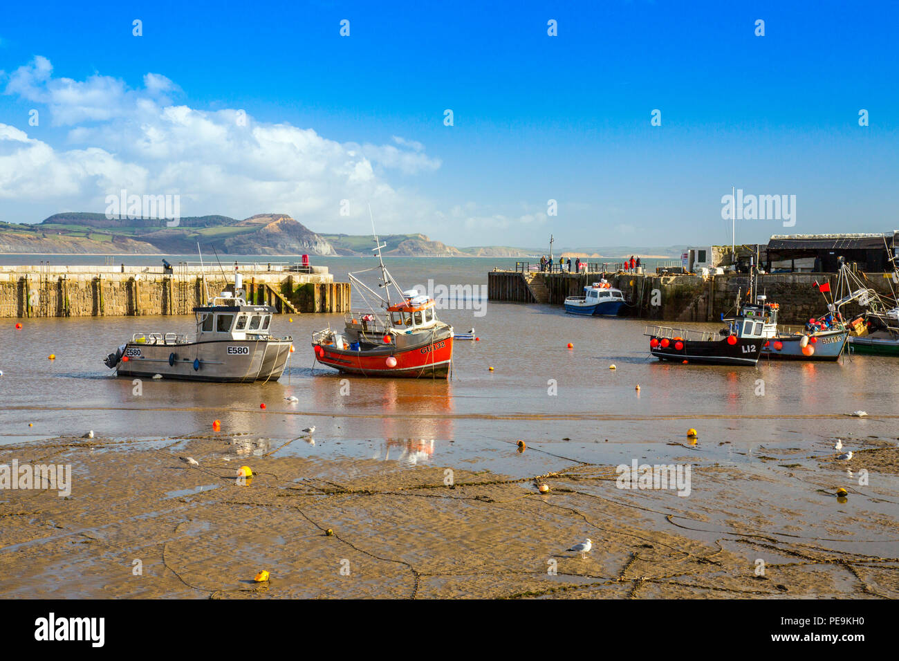 Une marée basse avec bateaux de pêche colorés dans le port à Lyme Regis sur la côte jurassique, Dorset, England, UK Banque D'Images