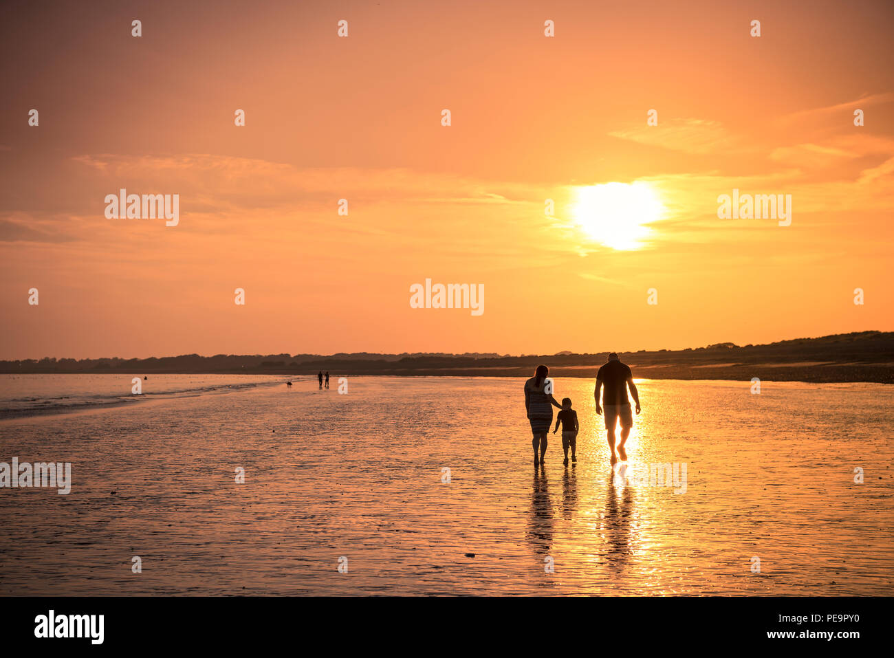 Promenade en famille le long du sable doré au coucher du soleil. Banque D'Images