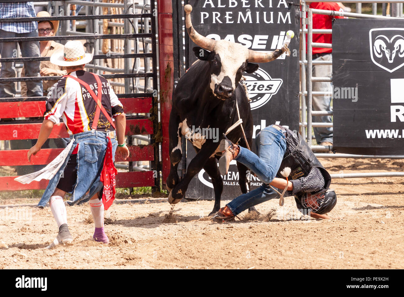 Cow-boys professionnels concurrence sur le bull riding partie de la Ram 2018 Rodeo Tour à Exeter, Ontario, Canada. Banque D'Images