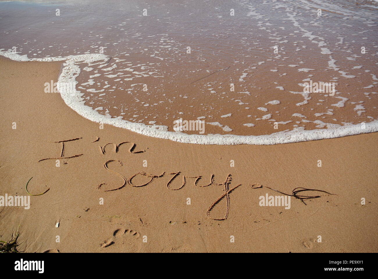 Un beau message appology 'Je suis désolé' dans un style manuscrite cursive sur le sable rouge sur une plage avec une vague venant dans la partie supérieure, PEI, Canada Banque D'Images