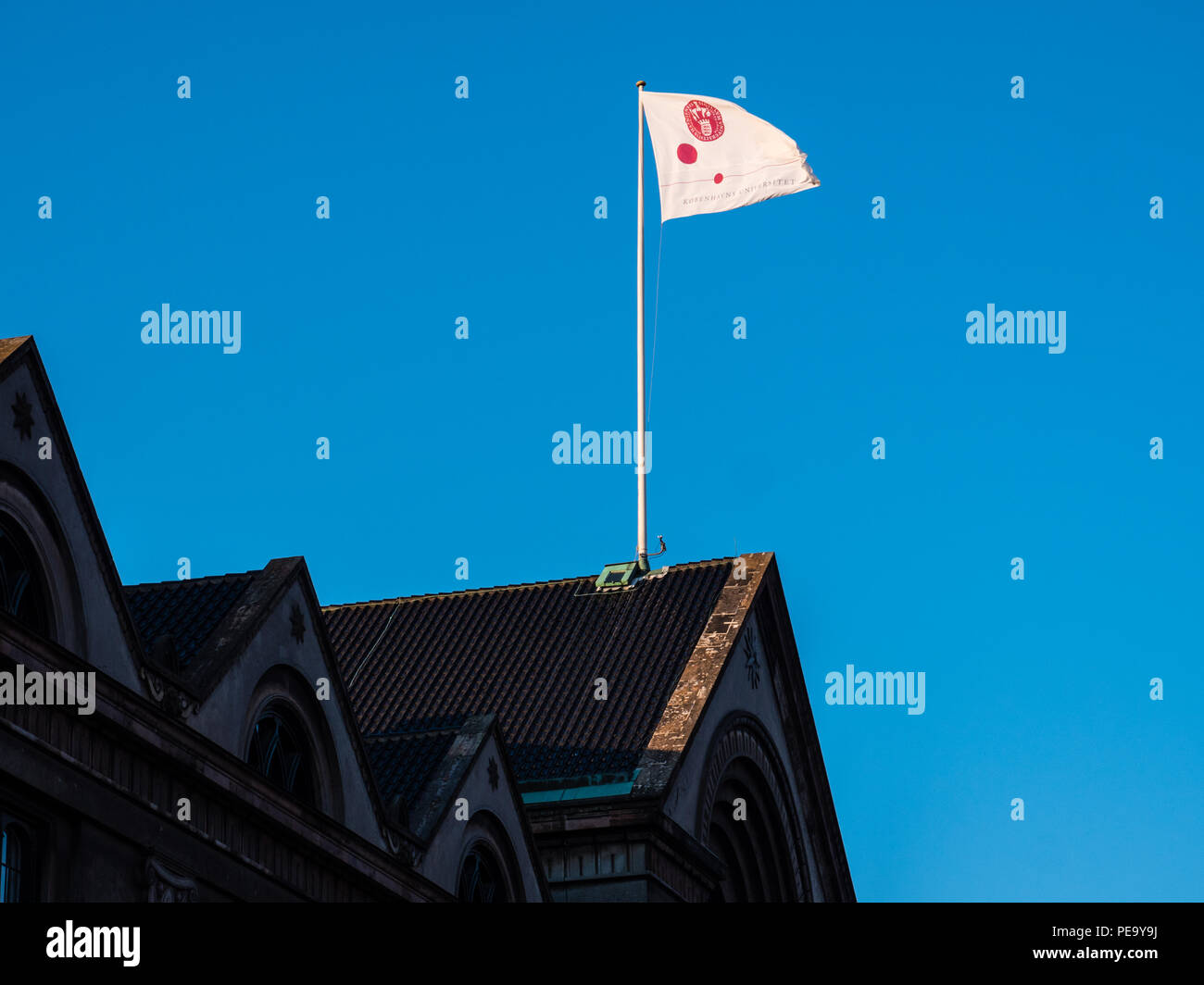 Université de Copenhague, d'un drapeau avec Logo, Copenhague, Danemark, Europe. Banque D'Images