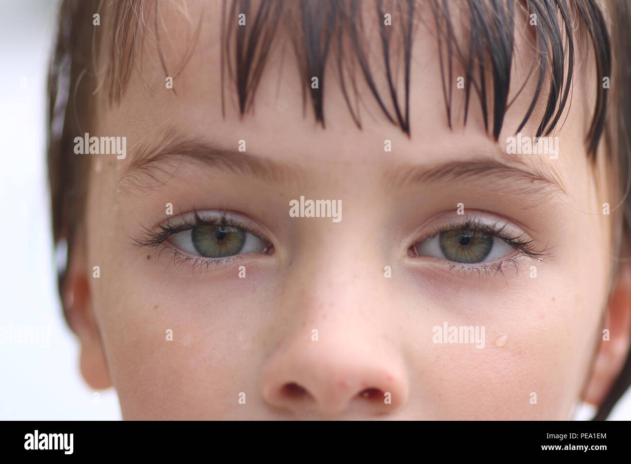 Plan Macro sur les yeux d'un enfant aux yeux verts avec un regard dans ses yeux fatigués Banque D'Images