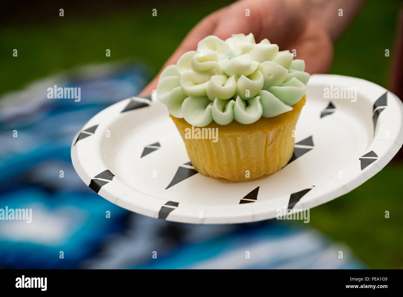 Baby Shower Picnic Banque D Image Et Photos Alamy