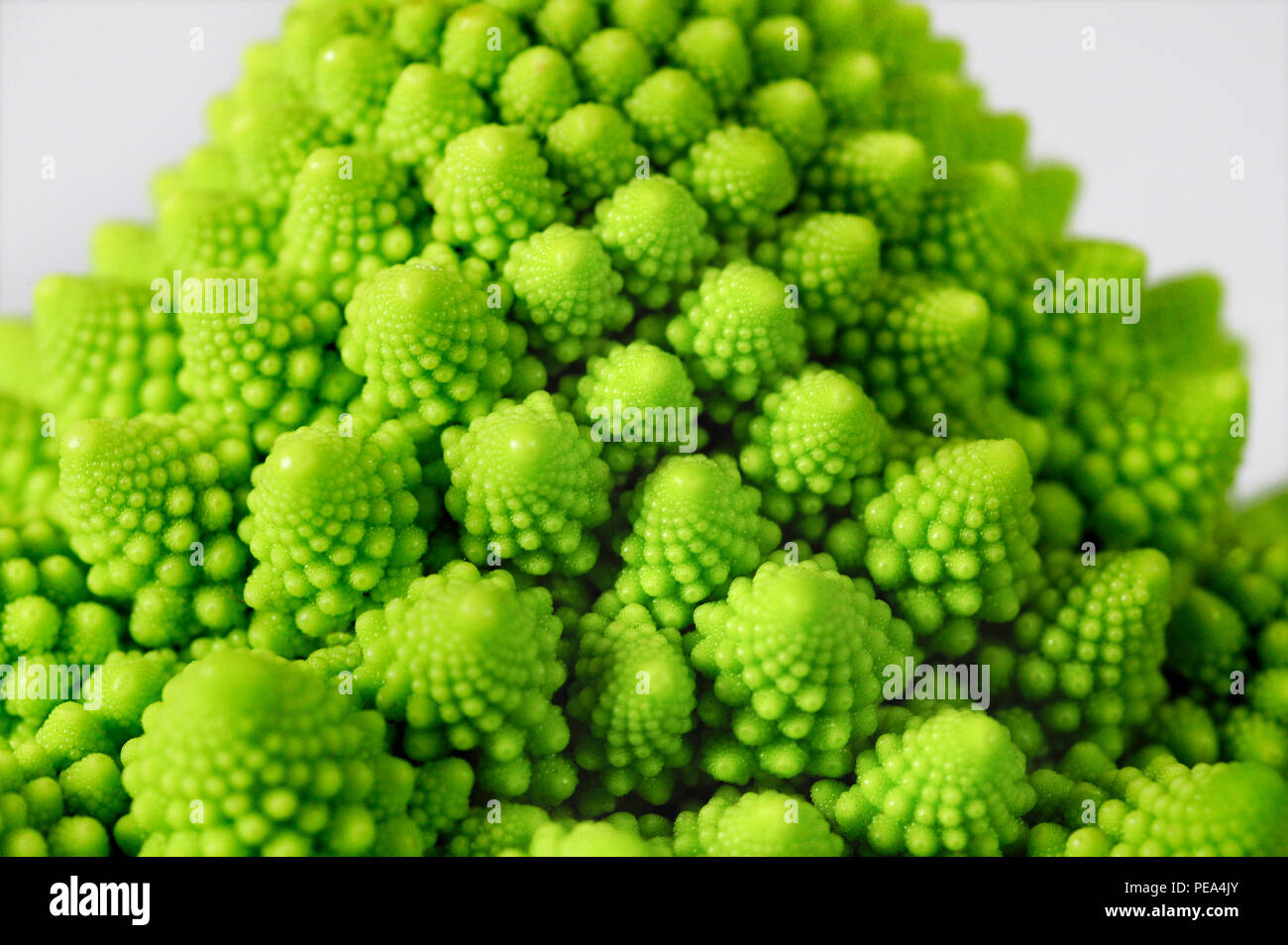 Romanesco Ressemble Superficiellement A Un Chou Fleur Mais C Est