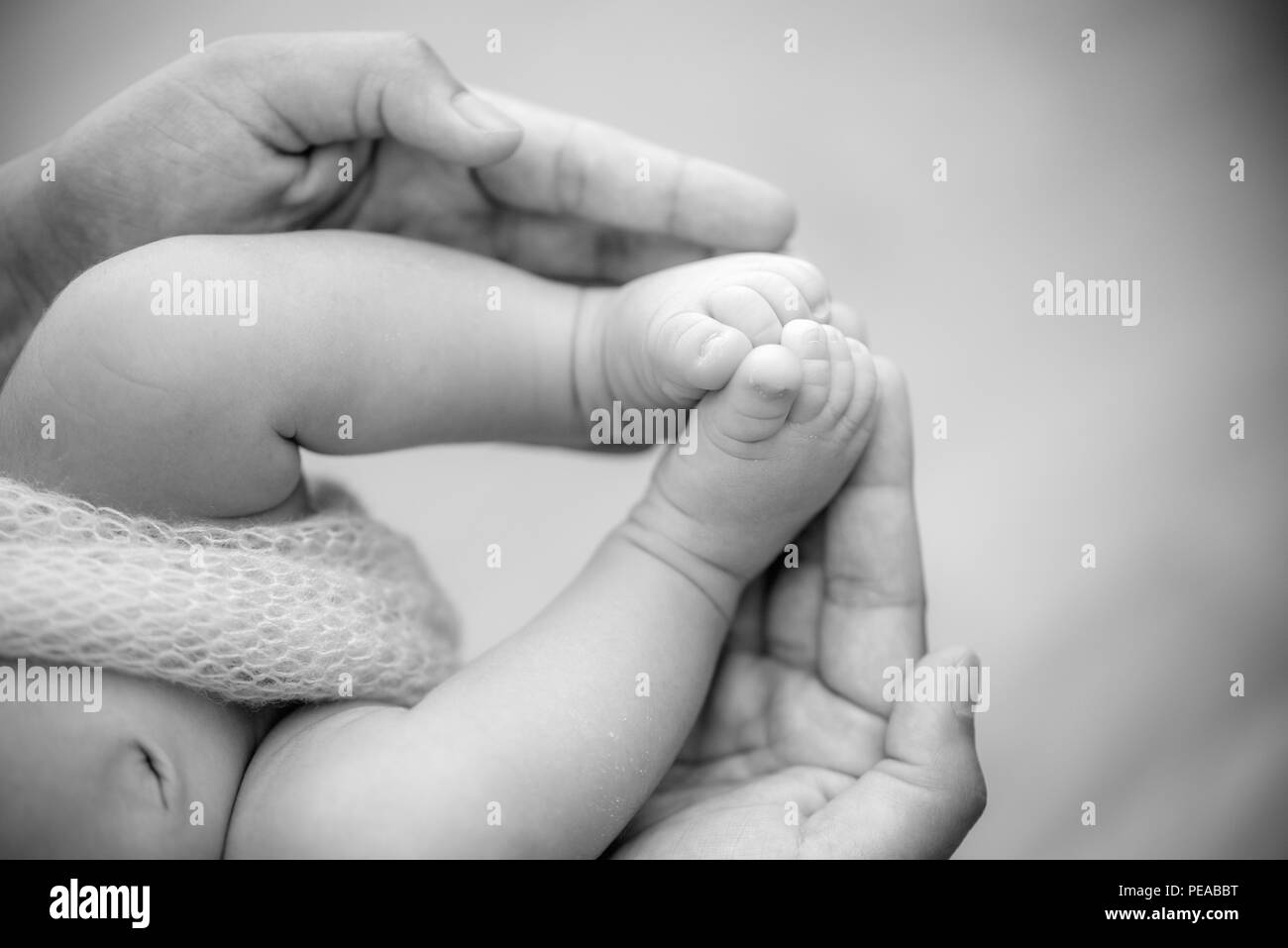 Pieds D Un Bebe Nouveau Ne Dans Les Mains Des Parents Oncept De Famille Heureuse Maman Et Papa Hug Leurs Jambes Du Bebe Photo Stock Alamy Pieds D Un Bebe Nouveau Ne Dans Les Mains Des Parents Oncept De Famille Heureuse Maman Et Papa Hug Leurs Jambes Du Bebe Photo Stock Alamy