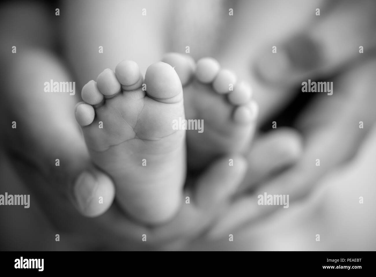 Pieds D Un Bebe Nouveau Ne Dans Les Mains Des Parents Oncept De Famille Heureuse Maman Et Papa Hug Leurs Jambes Du Bebe Photo Stock Alamy