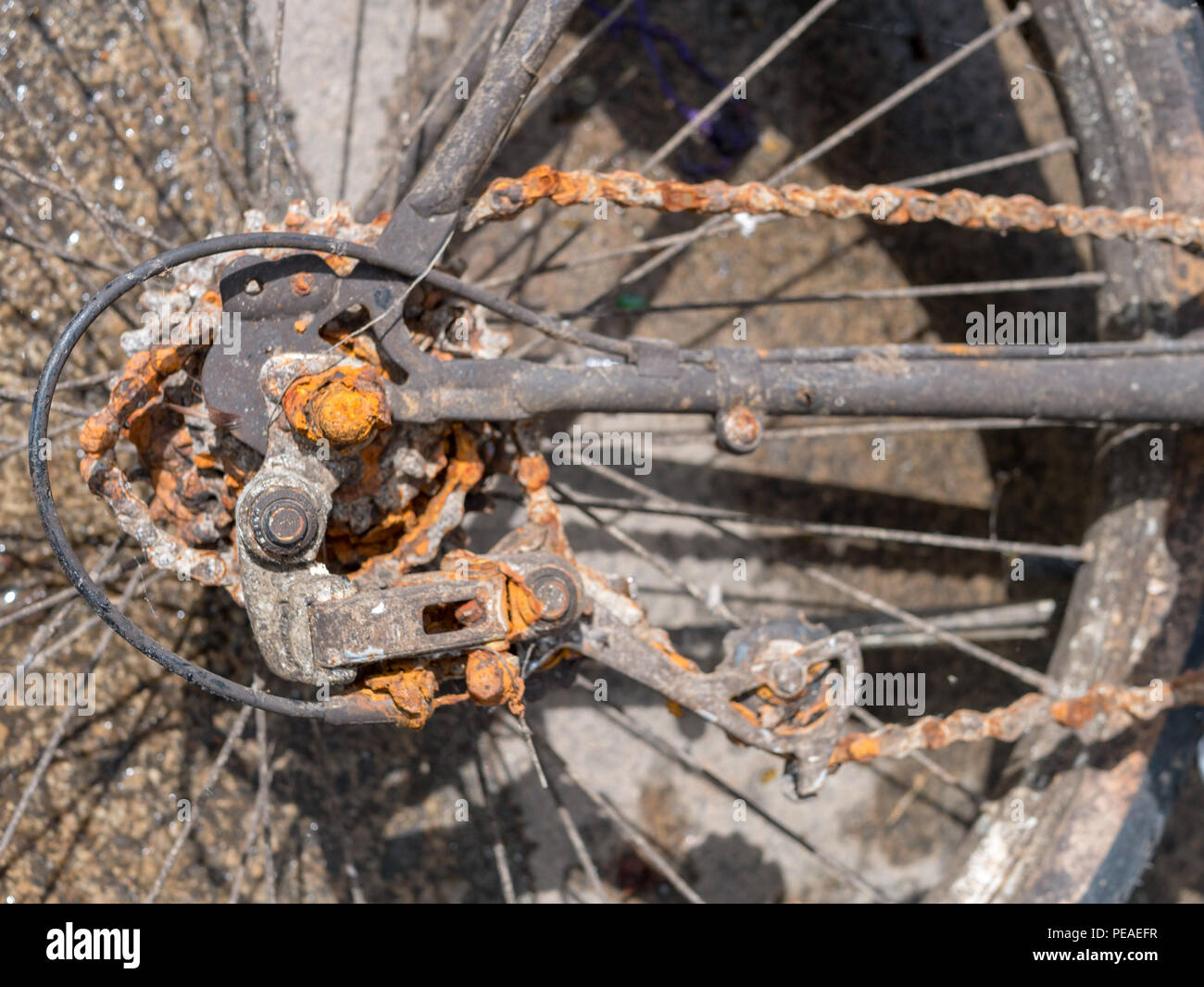 Detail shot of rusty partie de passage de rapport et la chaîne d'un vélo avec focus sélectif à partir de ci-dessus. La partie arrière du changement de rapport. Banque D'Images