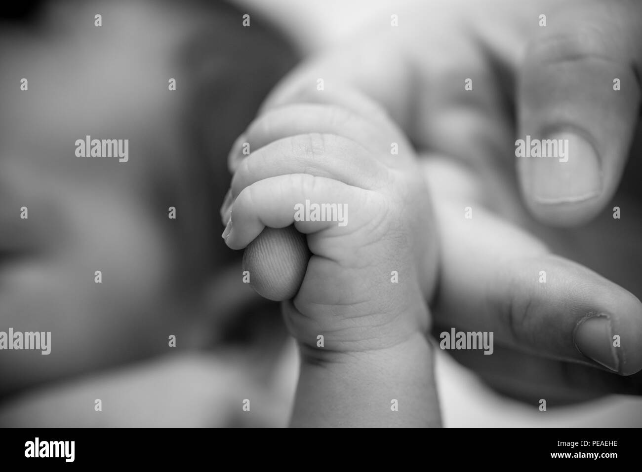 Bebe Nouveau Ne Du Doigt De Maintien De Mere Pere Famille Heureuse Et Bebe Protection Concept Maman Et Papa Qui Tiennent La Main De Leur Enfant Photo Stock Alamy