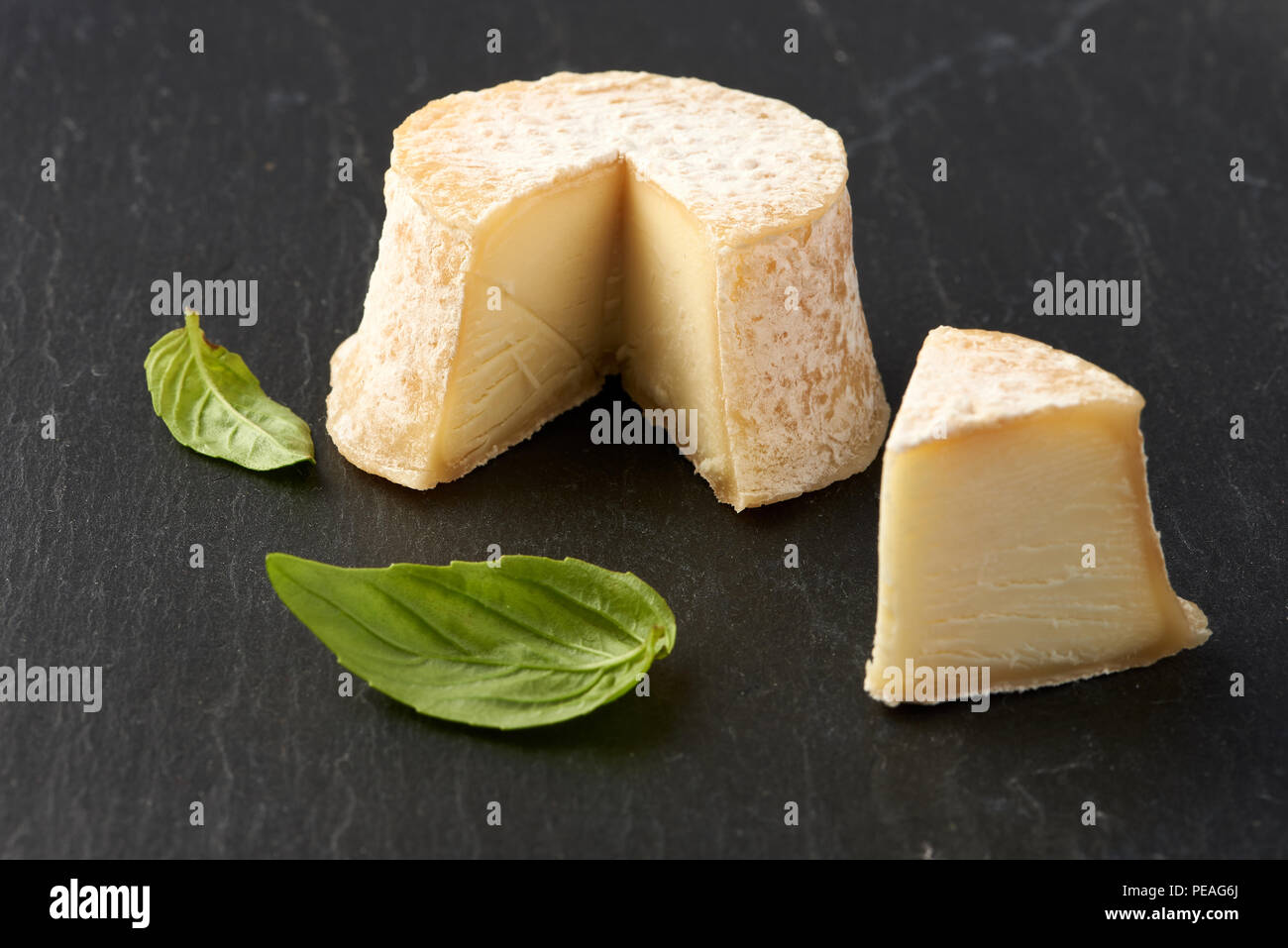 Fromage Crottin de feuilles de basilic sur fond noir en noir Banque D'Images