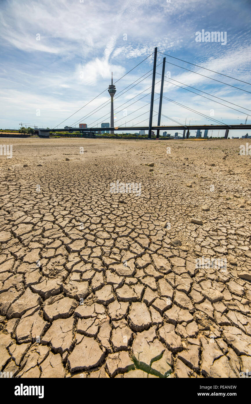 Le Rhin près de Dusseldorf, marée basse extrême, du Rhin au niveau de 84 cm, après la longue sécheresse falls la rive gauche du Rhin, au sec à Dusseldorf Ob Banque D'Images