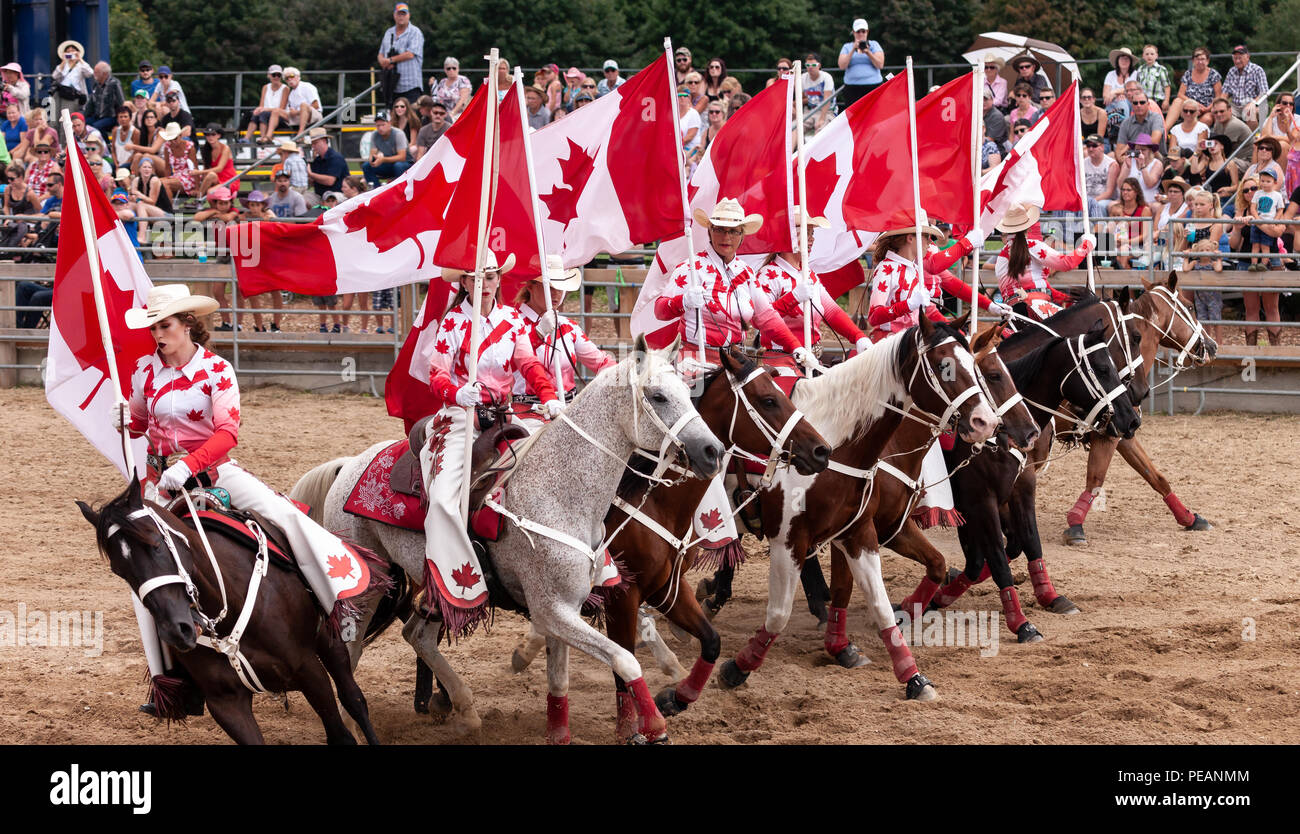 Les cowgirls spectacle équestre de précision à l'équipe Ram 2018 Rodeo Tour à Exeter, Ontario, Canada. Banque D'Images