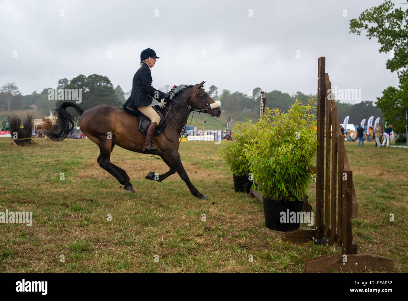 Une Chasse Cheval et cavalier s'attaquer à une clôture à l'Ellingham et Ringwood, une société agricole montrent Hampshire, England, UK Banque D'Images