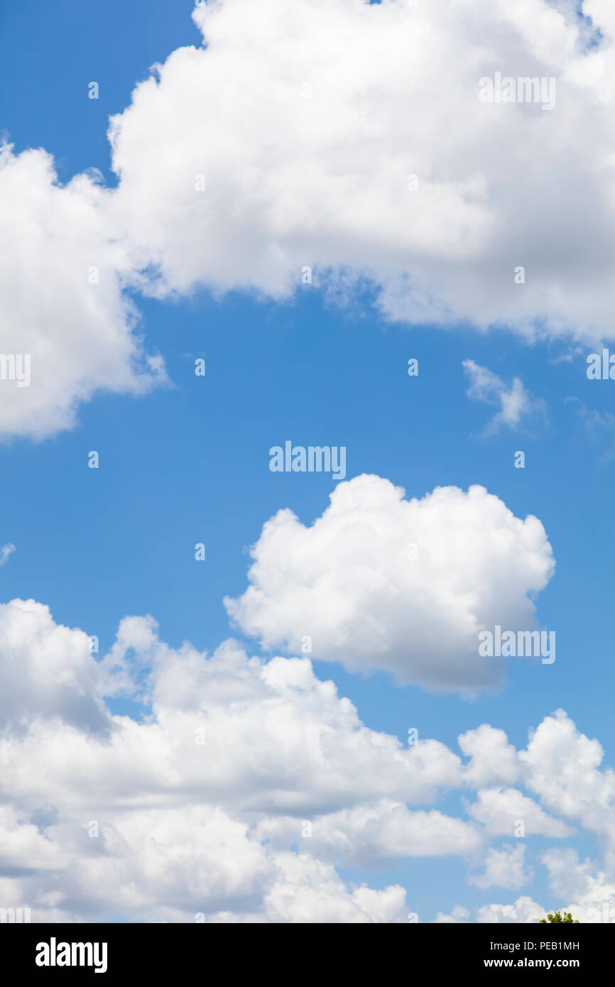 Les nuages blancs dans le ciel bleu au sud-ouest de la Floride Banque D'Images