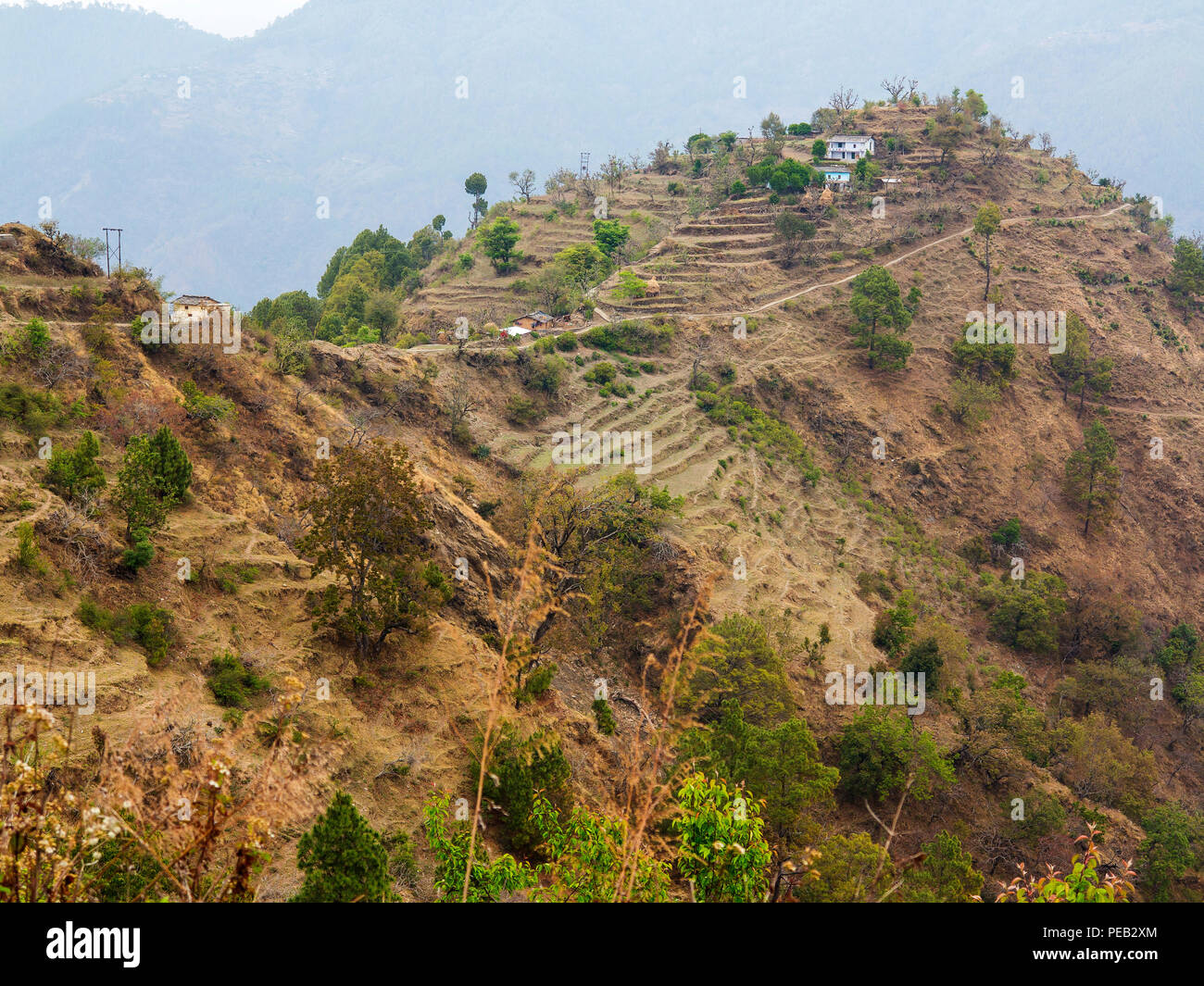 Dans le village de Kot Tulla Tallas Des salon, rendu célèbre par Jim Corbett dans son livre Le Temple des Tigres, Kumaon Hills, Uttarakhand, Inde Banque D'Images