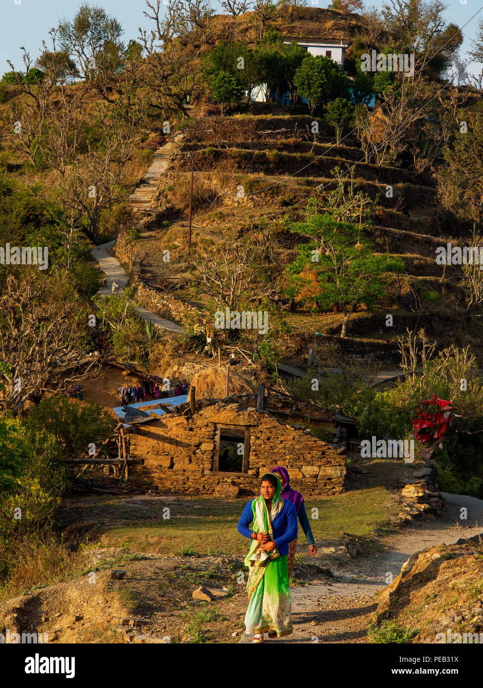 Femme indienne sur la selle, à l'Tulla Kote Village sur la zone des Tallas Kumaon, collines, Uttarakhand, Inde Banque D'Images