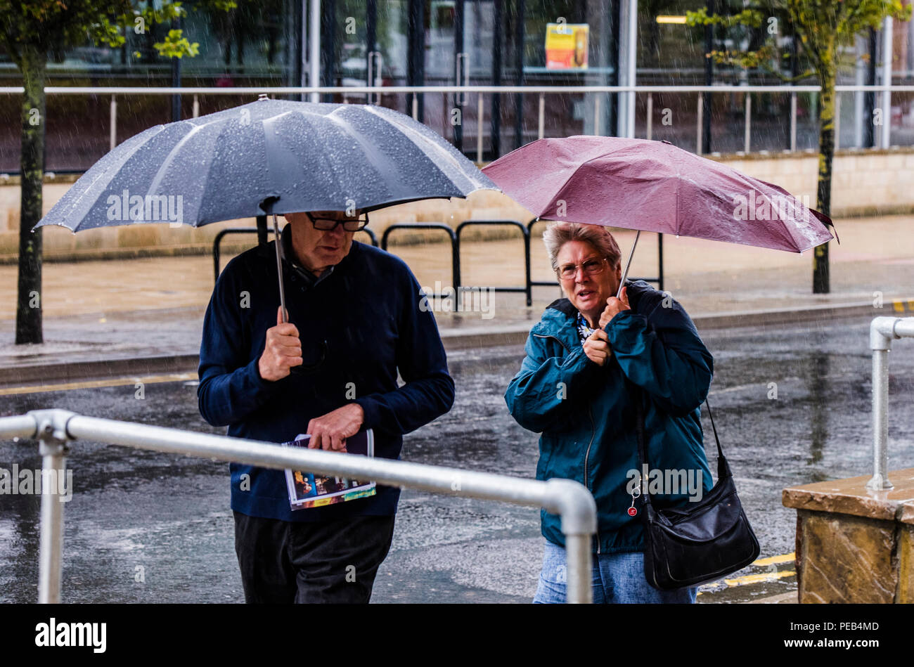 L'homme et la femme marche dans une tempête de pluie, s'abritant sous des parasols, Harrogate, North Yorkshire, UK Banque D'Images