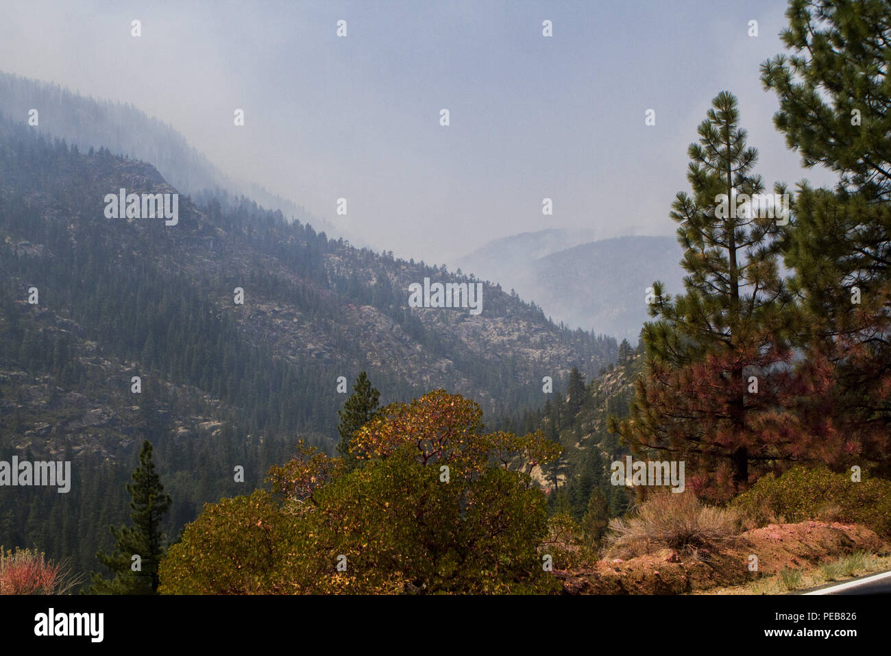 Dardnelle, Californie, U.S.A. 13 Aug, 2018. La Donnell incendie dans le comté de Tuolumne continue de croître et a atteint 28 302 acres d'après le U.S. Forest Service à compter du lundi 13 août, 2018. À compter de lundi matin, 54 structures ont été détruites et 220 sont encore menacés. Credit : Marty Bicek/ZUMA/Alamy Fil Live News Banque D'Images