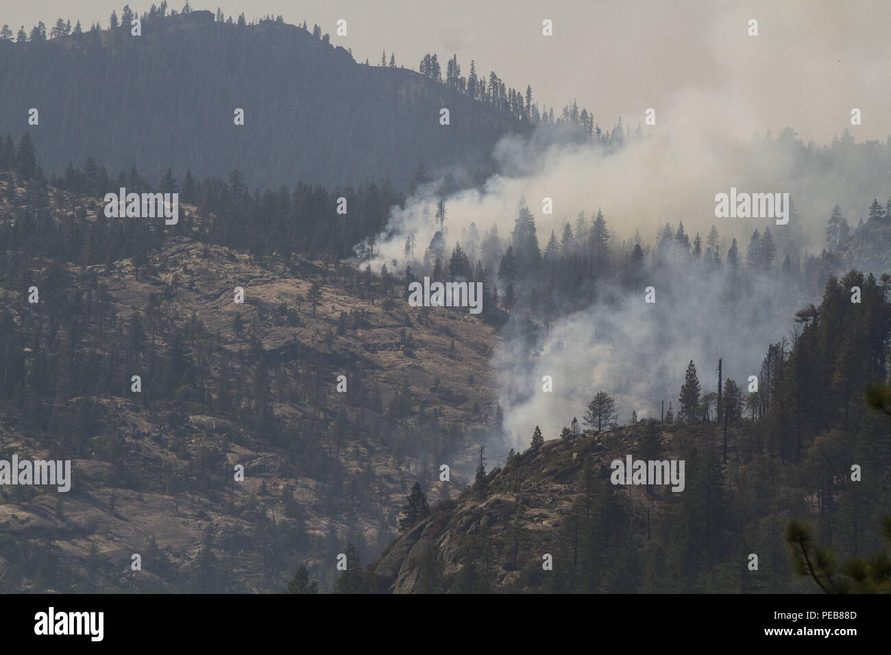Dardnelle, Californie, U.S.A. 13 Aug, 2018. La Donnell incendie dans le comté de Tuolumne continue de croître et a atteint 28 302 acres d'après le U.S. Forest Service à compter du lundi 13 août, 2018. À compter de lundi matin, 54 structures ont été détruites et 220 sont encore menacés. Credit : Marty Bicek/ZUMA/Alamy Fil Live News Banque D'Images