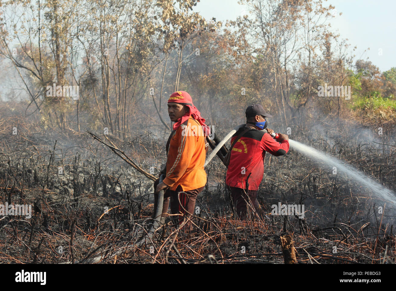 L'Indonésie, Riau, Kampar. 13Th Aug 2018. Les pompiers pour éteindre les incendies dans les tourbières de Riau, Kampar, Indonésie, le 13 août 2018. Plusieurs provinces de l'Indonésie ont mis en état d'alerte d'urgence pour les feux de forêts et des terres. Credit : Mohammad Adam/Alamy Live News Banque D'Images