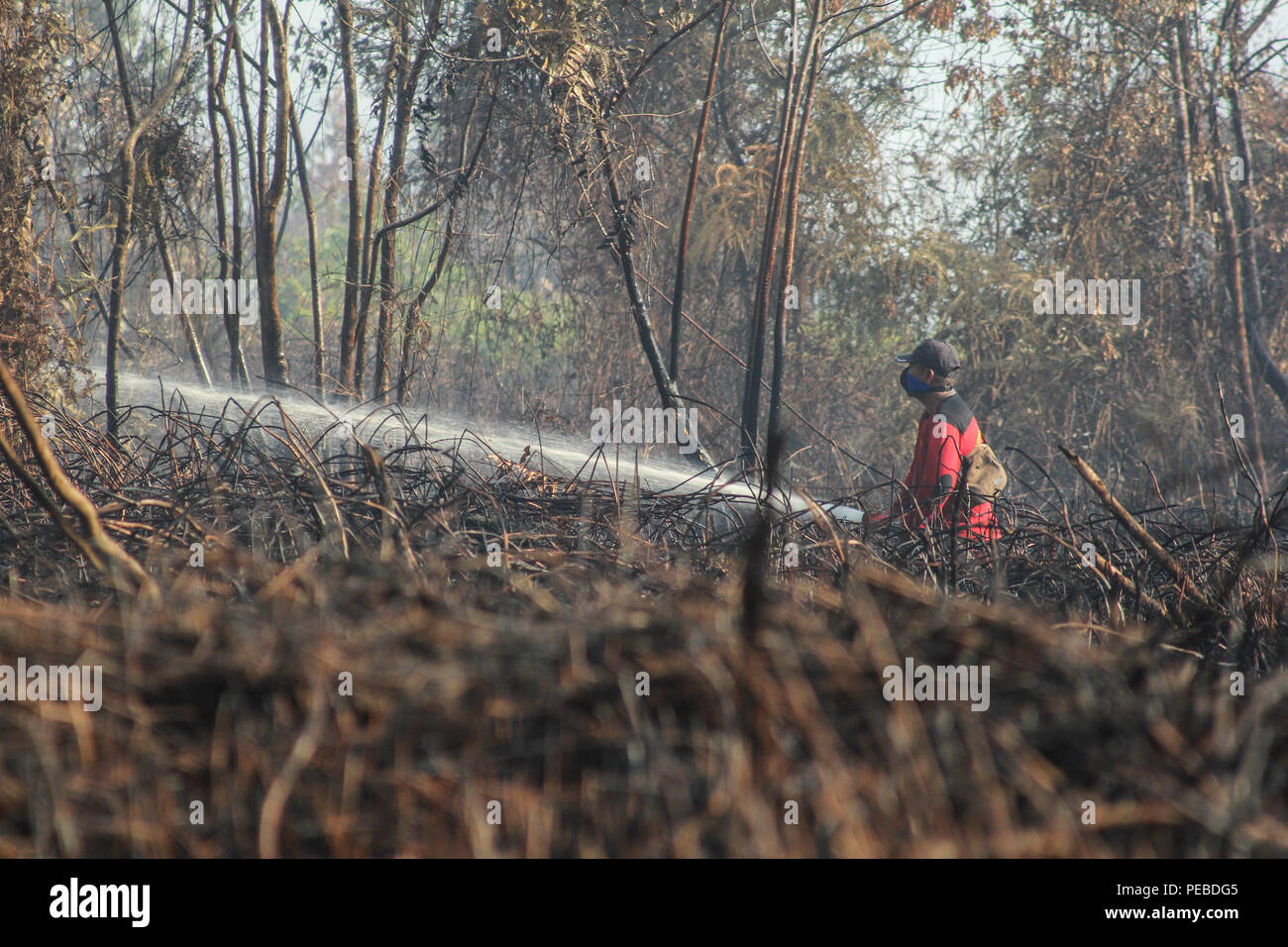 L'Indonésie, Riau, Kampar. 13 août 2018. un les pompiers pour éteindre les incendies dans les tourbières de Riau, Kampar, Indonésie, le 13 août 2018. Plusieurs provinces de l'Indonésie ont mis en état d'alerte d'urgence pour les feux de forêts et des terres. Credit : Mohammad Adam/Alamy Live News Banque D'Images